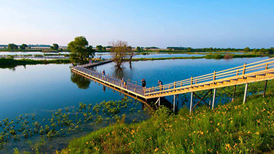 濕地旅遊景觀規劃設計要注意的（de）幾點