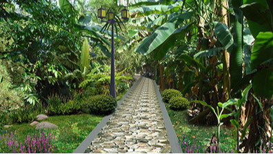 植物在生態園林景（jǐng）觀中的作用總結（jié）