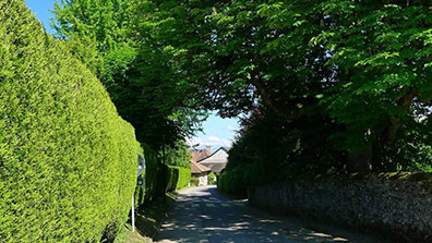 綠籬在園林景觀設計中（zhōng）的幾點作用（yòng）總結