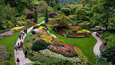 園林設計（jì）中應用景觀花（huā）卉的4種形式分（fèn）析