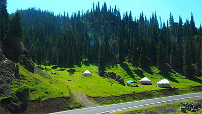 風（fēng）景園林設計的要求