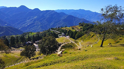 淺（qiǎn）談共（gòng）享農莊的規劃設計理念