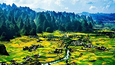 農業特色小鎮的規（guī）劃設計要點總結