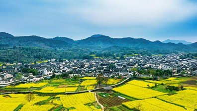 特色小鎮隻注重民（mín）宿餐飲是很不夠的