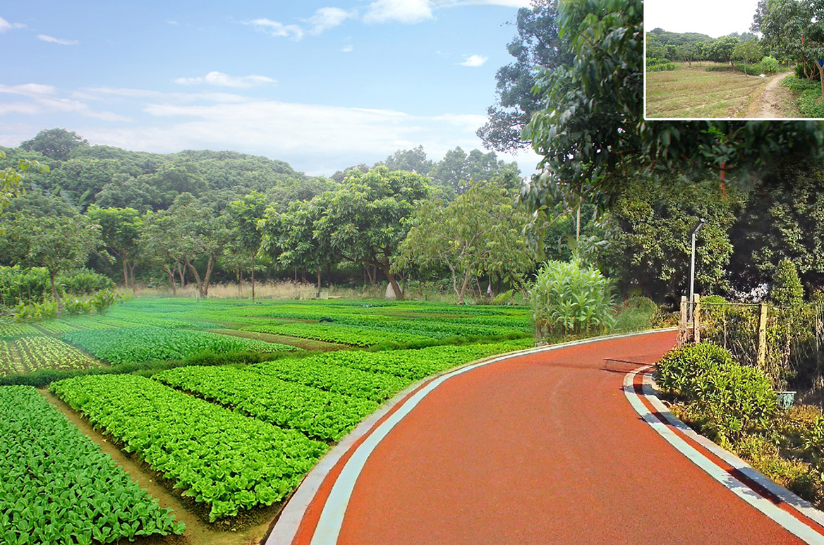 大嶺山（shān）鎮新塘村美麗幸福村居（jū）建設行（háng）動計劃圖10