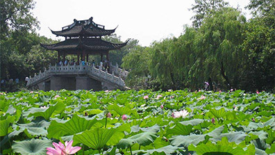 淺談我國傳統園林設計的特點