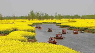 美麗鄉村設計不能按照城鎮化的思路來設計