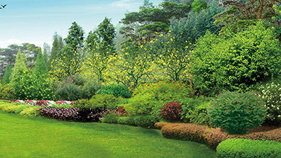 景觀設計貫徹低碳理念需要從（cóng）哪些（xiē）方（fāng）麵努力