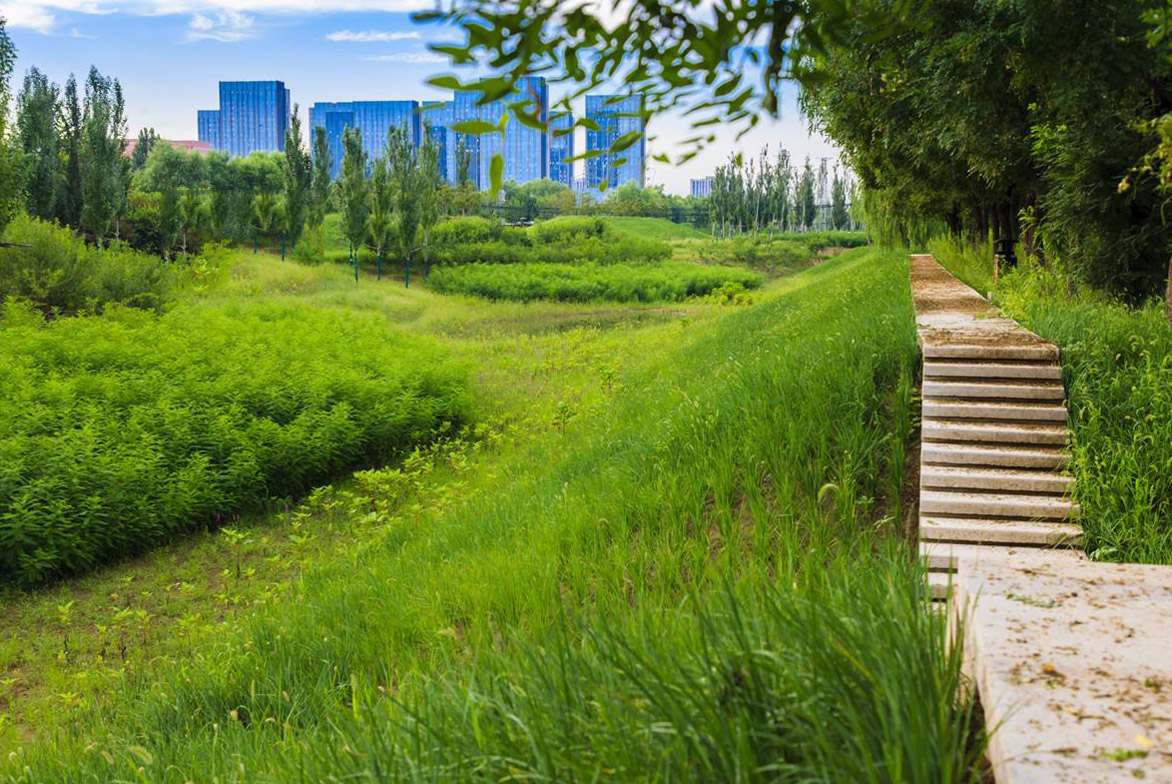 城市（shì）園林景觀設計圖片