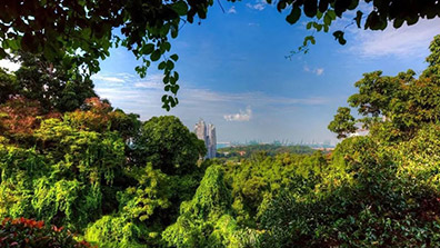 城市園林景觀設計（jì）中生態環境的保護