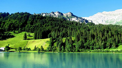 山地旅遊景區植物景觀規劃（huá）設計（jì）經驗總結