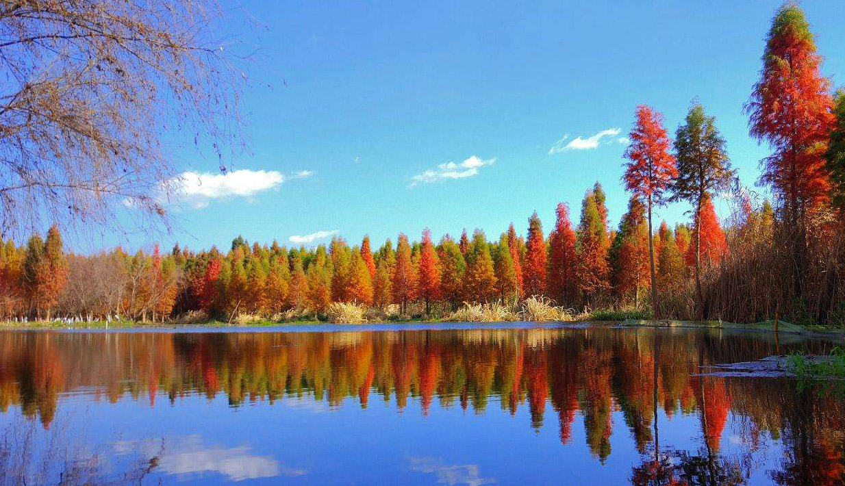 景（jǐng）觀設計圖片