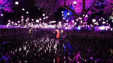 互動式景觀的特（tè）征