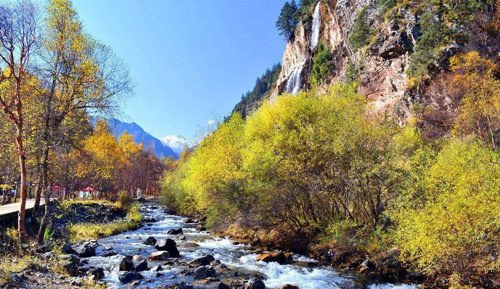 森林公園規劃設計圖（tú）片