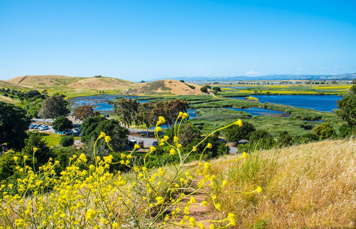 濕地公園（yuán）圖片（piàn）