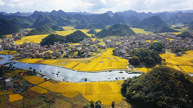 田園綜合體的設計策略