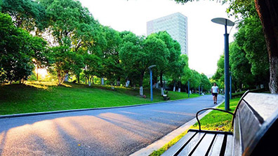 城市綜合性公園（yuán）景觀設計過程中（zhōng）存在的問題