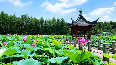 園林規劃中（zhōng）路（lù）徑設計的重要作用