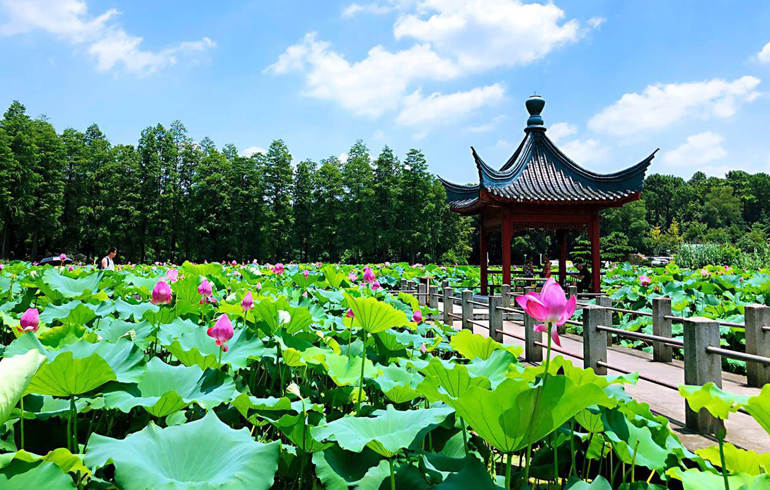 園林規劃中路徑設計的重要作用