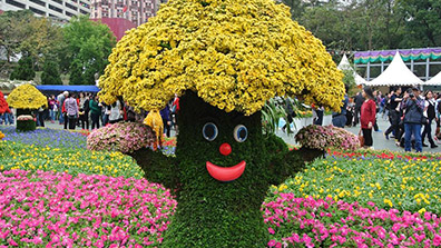 園林（lín）綠化設（shè）計中花（huā）卉植物造景需注意的幾（jǐ）點（diǎn）