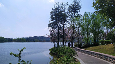 濕地景觀在現代景觀設（shè）計中的幾點作（zuò）用總結