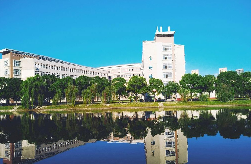 學校園林景觀設（shè）計