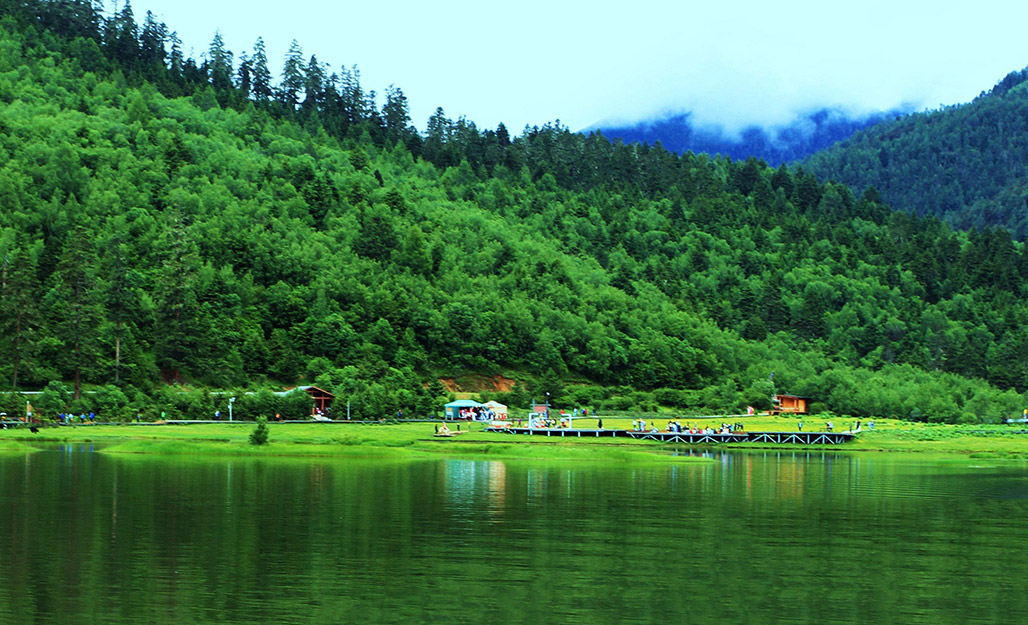 森林公（gōng）園景觀設計