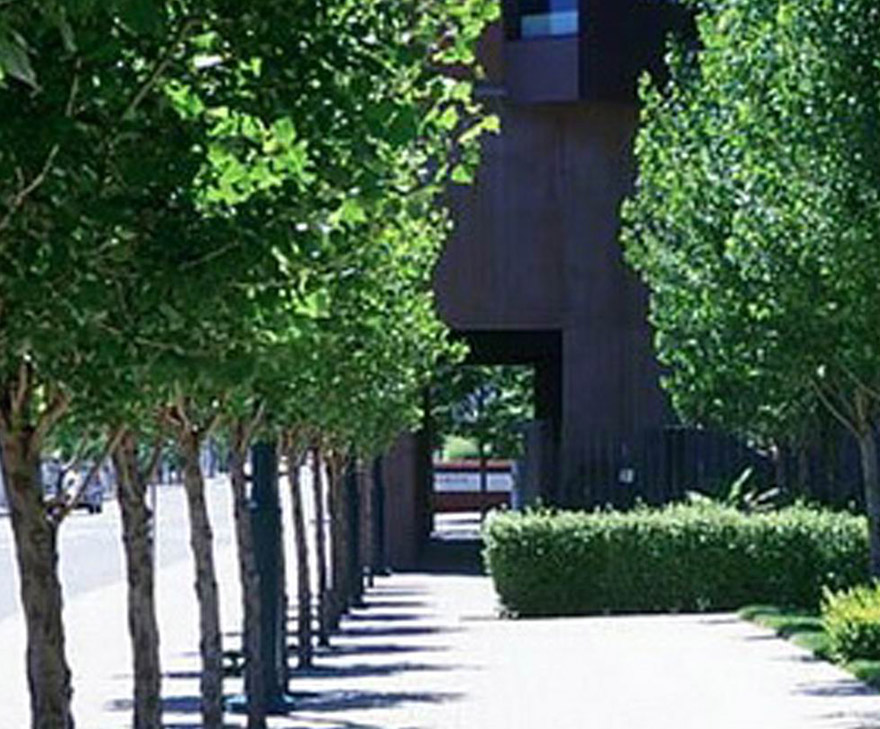 景觀設計原則-豐富