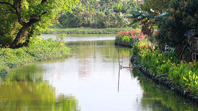 東莞某特色精（jīng）品村建設規劃之SWOT分析