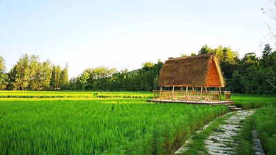 農業特色小鎮的（de）設計原則