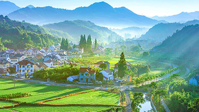 農業特色小鎮的特性