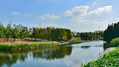 海綿城市建設中如何做好（hǎo）濕地（dì）景觀設計