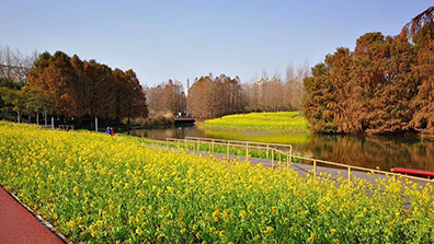 後工業植物景觀類型