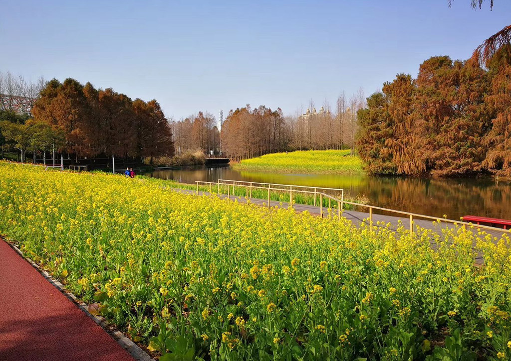 後工業植物景觀