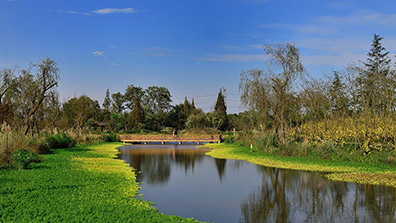 生態修複理念下城市濕（shī）地公園的構建原則