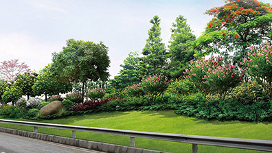 植物（wù）在城市園林設計中的（de）主要功能