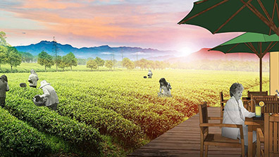 現代農業生態園高質量發展的建議