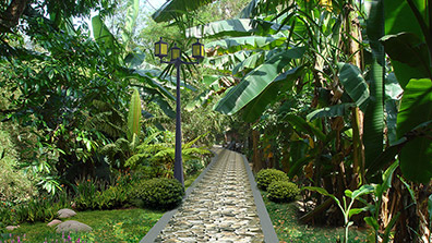 風景園林設計需要以生態理念為指導