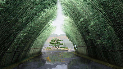 植物造景在風景園林設計中的應用措施