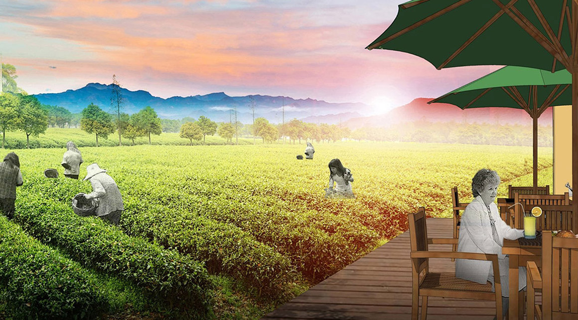 農（nóng）業景區景觀規劃