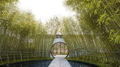 竹子在校（xiào）園中的景觀應用