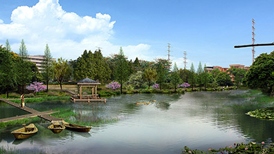 精準把脈美麗（lì）圩鎮規劃（huá） 助力美麗鄉村建設