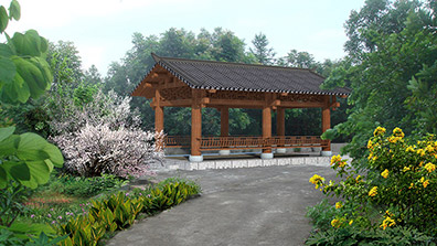 優化美麗圩鎮規劃設計方案 全力推（tuī）進項目（mù）建設