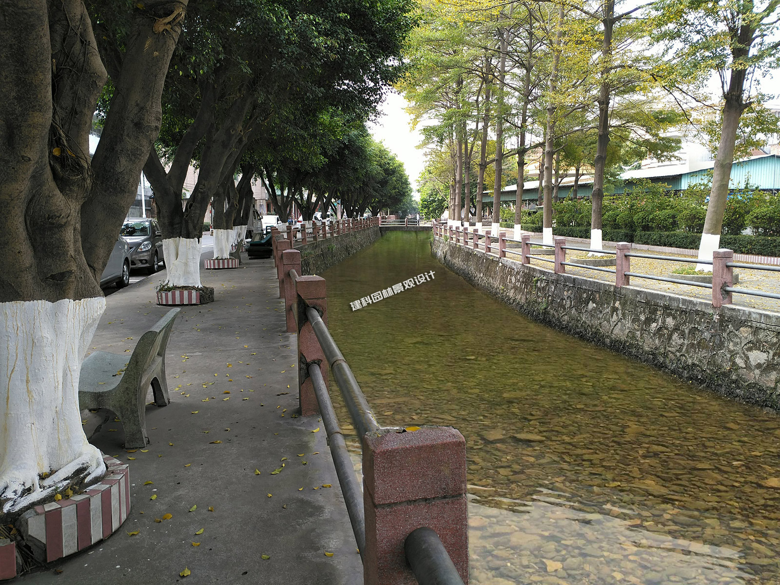 美麗圩（xū）鎮3