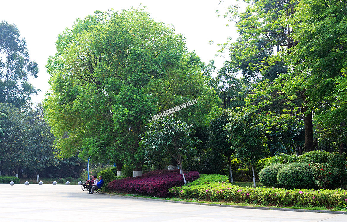 公園景（jǐng）觀設計（jì）圖1