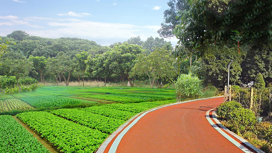 大嶺山（shān）鎮新（xīn）塘村美麗（lì）幸福村居建設行動（dòng）計劃